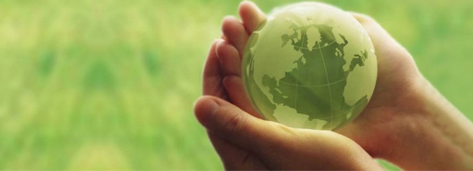 Enviromental Policy